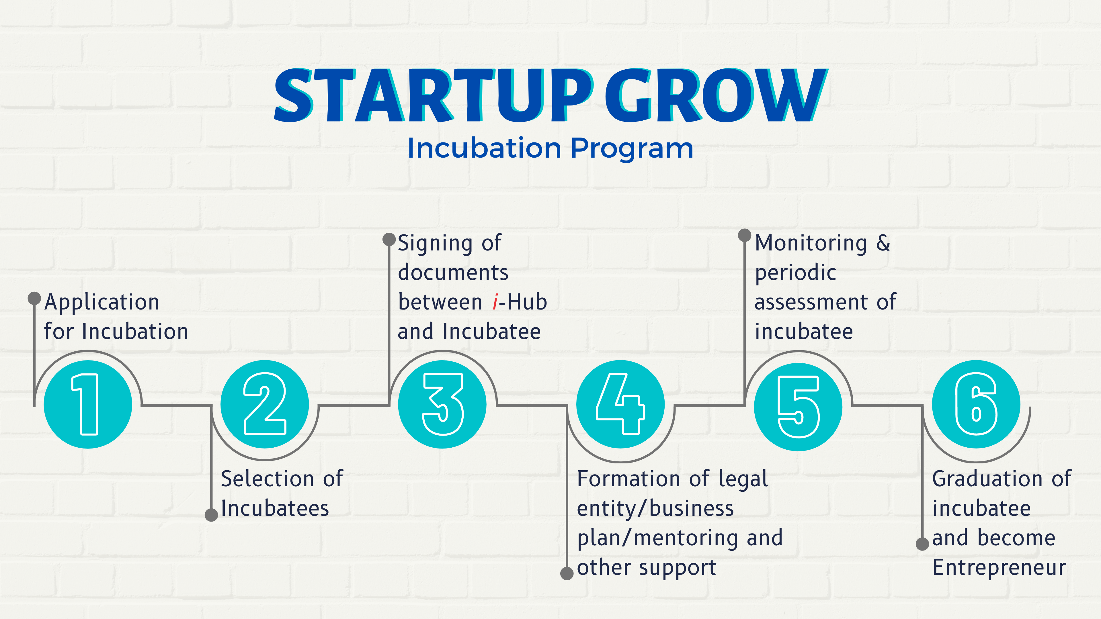 Startup Grow Process